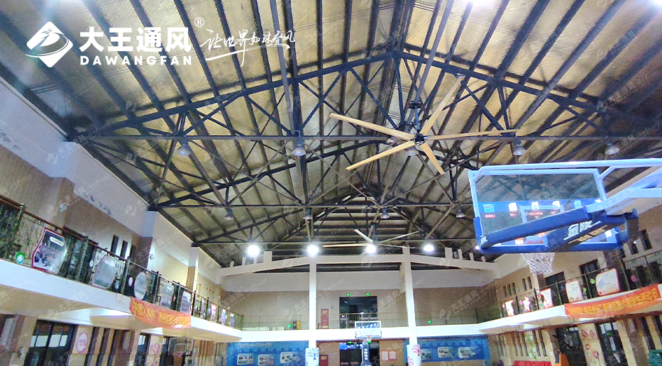 cf61080108c09cdce281fe3c46c95963.jpg 20231127/cf61080108c09cdce281fe3c46c95963.jpg