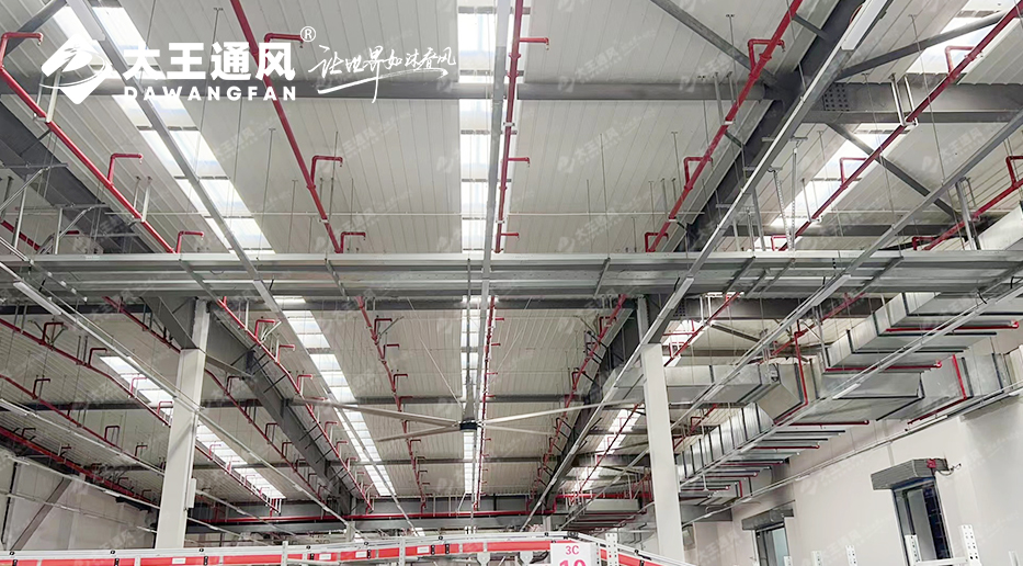 6f0e7f3325e0e31a8439d66e03c8a0cd.jpg 20231228/6f0e7f3325e0e31a8439d66e03c8a0cd.jpg