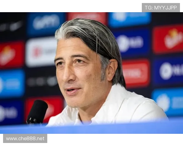 瑞士足球队2026年阵容分析：新星崛起与老将坚守的平衡状态