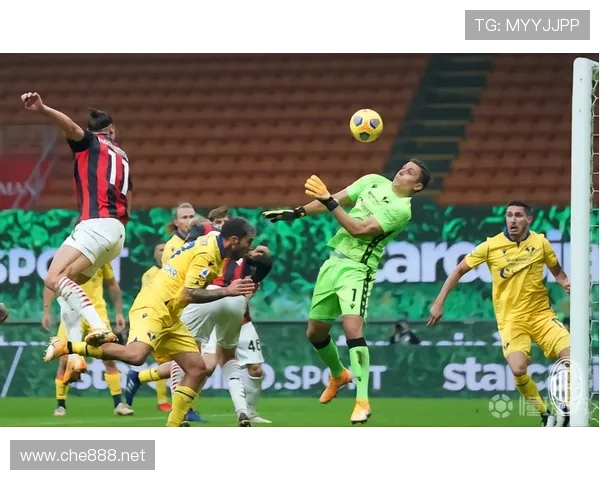 维罗纳数据分析