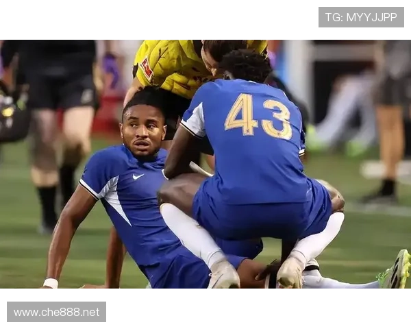 库杜斯与恩昆库：全能攻击手的两种模板解析