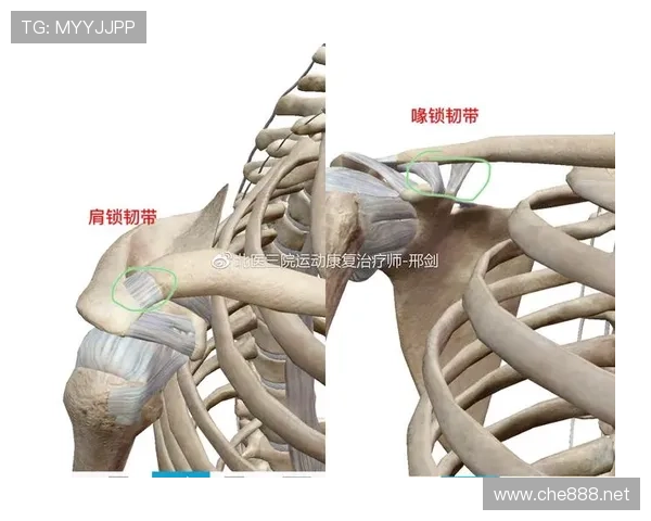 拉人犯规属于什么性质的犯规？规则解析与判罚标准